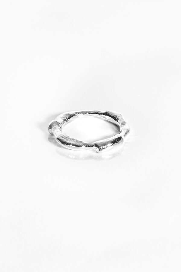 petit Dna ring silver